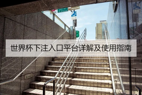 世界杯下注入口平台详解及使用指南