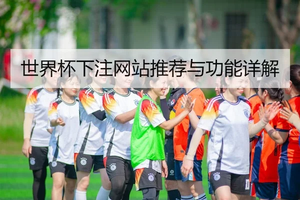 世界杯下注网站推荐与功能详解