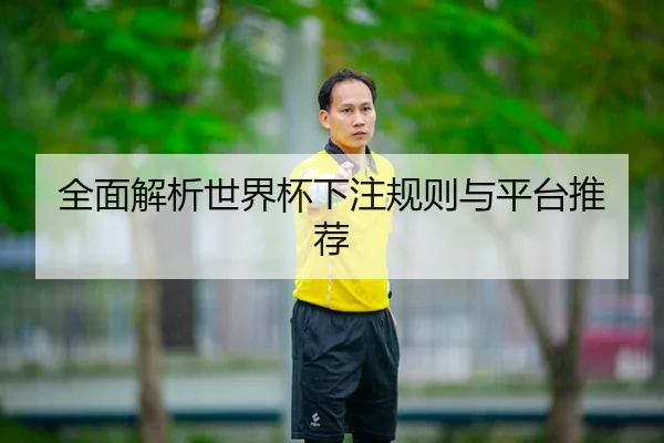 全面解析世界杯下注规则与平台推荐