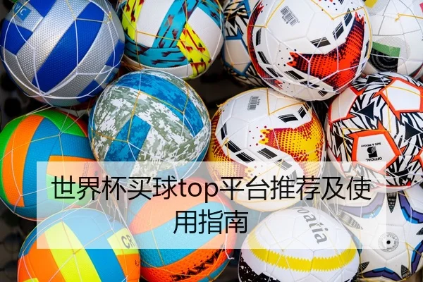 世界杯买球top平台推荐及使用指南