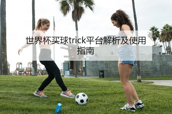 世界杯买球trick平台解析及使用指南