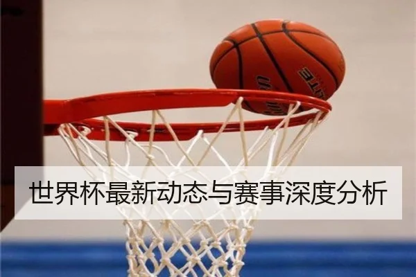 世界杯最新动态与赛事深度分析