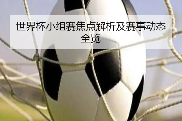 世界杯小组赛焦点解析及赛事动态全览