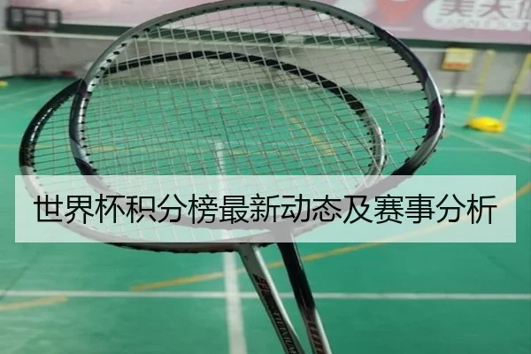 世界杯积分榜最新动态及赛事分析