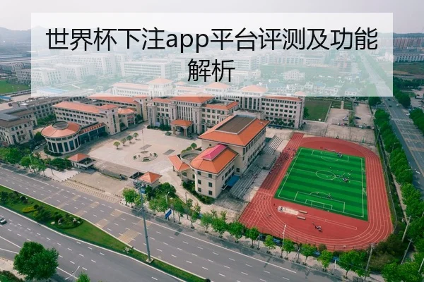世界杯下注app平台评测及功能解析