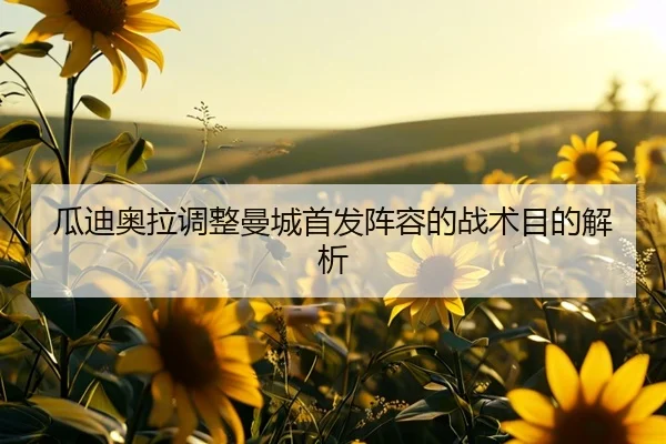 gua-di-ao-la-tiao-zheng-man-cheng-shou-fa-zhen-rong-de-zhan-shu-mu-di-jie-xi-2-220.jpg