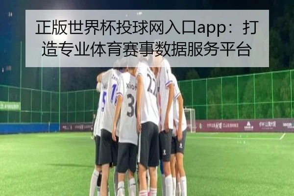 正版世界杯投球网入口app：打造专业体育赛事数据服务平台