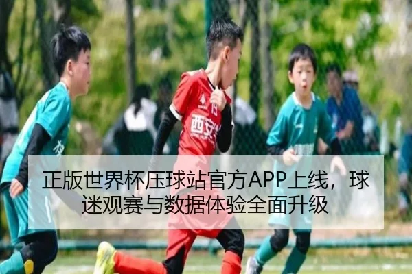 正版世界杯压球站官方APP上线，球迷观赛与数据体验全面升级