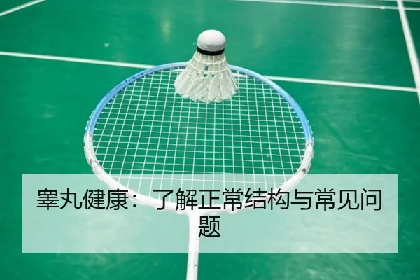 睾丸健康：了解正常结构与常见问题